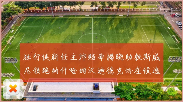 独行侠新任主帅赔率揭晓助教斯威尼领跑纳什哈姆汉迪德克均在候选之中