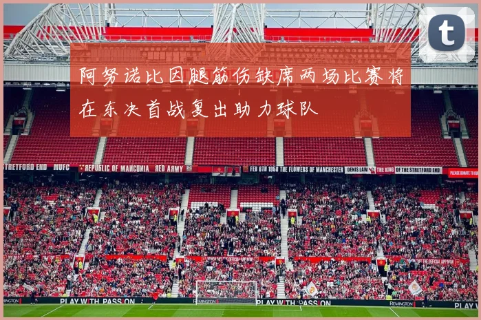 阿努诺比因腿筋伤缺席两场比赛将在东决首战复出助力球队